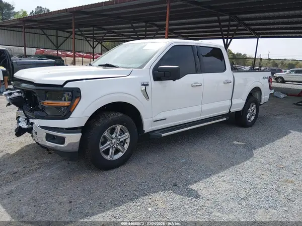 1FTFW3LD6RFA89561 2024 FORD F-150 - Image 2