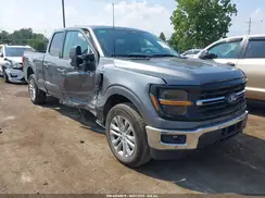 1FTFW3LD6RFA99717 2024 FORD F-150