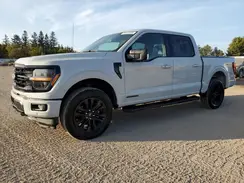 1FTFW3LD6RFB44249 2024 FORD F-150