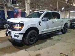 1FTFW3LD6SFA07737 2025 FORD F-150