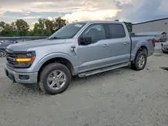 1FTFW3LD7RFA19597 2024 FORD F-150