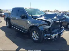 1FTFW3LD7RFA24976 2024 FORD F-150