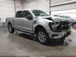 1FTFW3LD7RFA26176 2024 FORD F-150