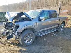 1FTFW3LD7RFA31779 2024 FORD F-150