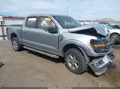 1FTFW3LD7RFA42913 2024 FORD F-150