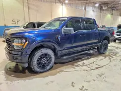 1FTFW3LD7RFA48419 2024 FORD F-150
