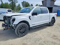1FTFW3LD7RFB32823 2024 FORD F-150