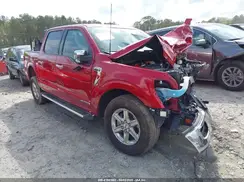 1FTFW3LD8RFA31497 2024 FORD F-150