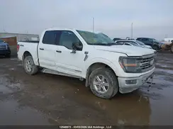 1FTFW3LD8RFA40863 2024 FORD F-150