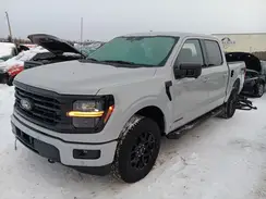 1FTFW3LD8RFB47606 2024 FORD F-150