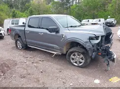 1FTFW3LD9RFA35686 2024 FORD F-150