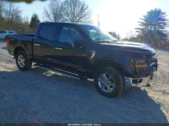 1FTFW3LD9RFA63066 2024 FORD F-150