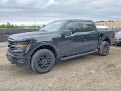 1FTFW3LD9RFA89036 2024 FORD F-150