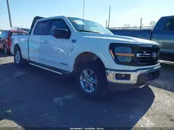 1FTFW3LD9RFA96293 2024 FORD F-150