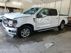 1FTFW3LDXRFA06438 2024 FORD F-150