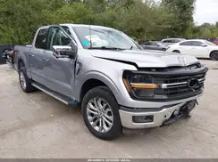 1FTFW3LDXRFA15219 2024 FORD F-150