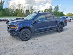 1FTFW3LDXRFA50097 2024 FORD F-150