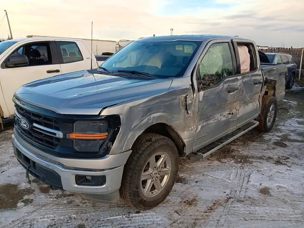 1FTFW3LDXRFA62704 2024 FORD F-150 - Image 1