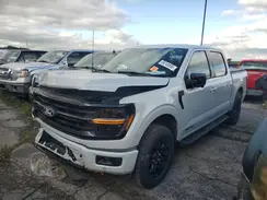 1FTFW3LDXRFA66414 2024 FORD F-150