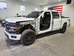 1FTFW3LDXRFA66462 2024 FORD F-150