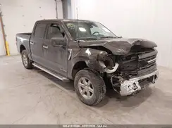 1FTFW3LDXRFA71466 2024 FORD F-150