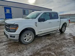 1FTFW3LDXRFA73136 2024 FORD F-150