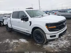 1FTFW3LDXRFC20040 2024 FORD F-150
