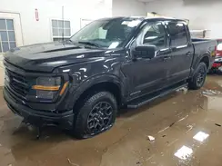 1FTFW3LDXSFA34391 2025 FORD F-150
