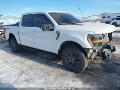 1FTFW4L55RFB23505 2024 FORD F-150