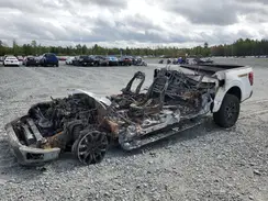 1FTFW4L81RFA78007 2024 FORD F-150