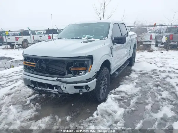 1FTFW4L88RFB94868 2024 FORD F-150 - Image 2
