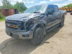 1FTFW4L8XRFB86870 2024 FORD F-150