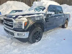 1FTFW5L56RFB26113 2024 FORD F-150