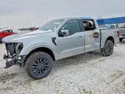 1FTFW5L56SFC54325 2025 FORD F-150