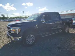 1FTFW5L59RFA59040 2024 FORD F-150