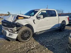 1FTFW5L80RFB18695 2024 FORD F-150