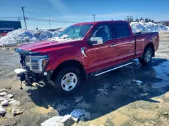 1FTFW5L80RKD65884 2024 FORD F-150