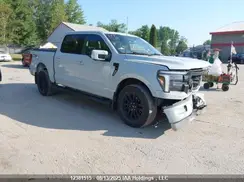 1FTFW5L86RFB37946 2024 FORD F-150