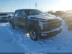 1FTFW5L88RFA97868 2024 FORD F-150