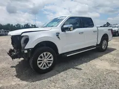 1FTFW5L8XRFB62994 2024 FORD F-150
