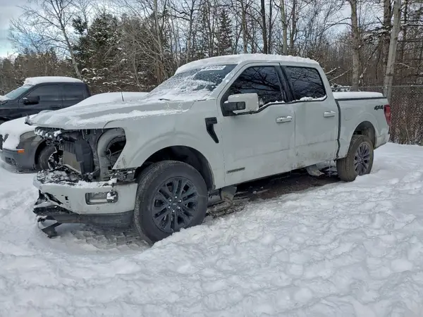 1FTFW5LD1RFA71660 2024 FORD F-150 - Image 1