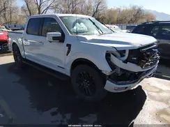 1FTFW5LD1RFB81396 2024 FORD F-150