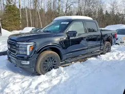 1FTFW5LD4RFB67329 2024 FORD F-150