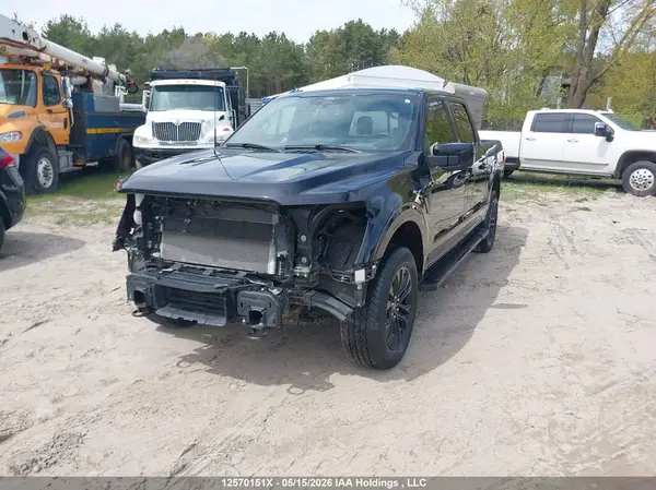 1FTFW5LD6RFA45992 2024 FORD F-150 - Image 2