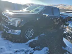 1FTFW5LD6RFB24501 2024 FORD F-150