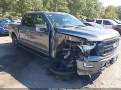 1FTFW5LD6RFC18233 2024 FORD F-150