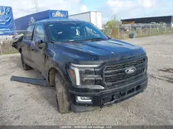 1FTFW5LD7RFB51979 2024 FORD F-150