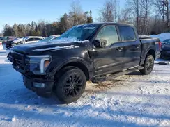 1FTFW5LD8RFA65029 2024 FORD F-150