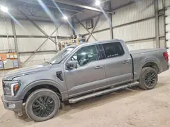 1FTFW5LD8RFB49335 2024 FORD F-150