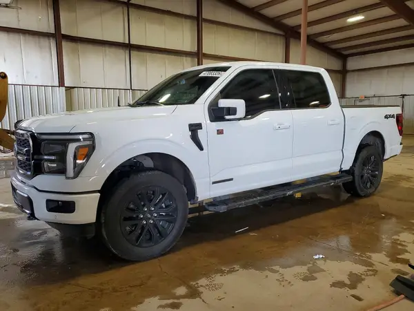 1FTFW5LD8SFB55450 2025 FORD F-150 - Image 1
